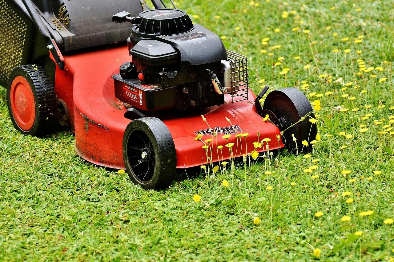 lawn mower, mow, cut the lawn, green, meadow, gardening, grassy area, to cut, cut grass, nature, grass, garden, blades of grass, lawn mower, lawn mower, lawn mower, lawn mower, lawn mower, cut the lawn. Lawn care services: 17 package shapes and route effects