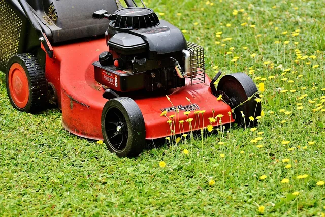 lawn mower, mow, cut the lawn, green, meadow, gardening, grassy area, to cut, cut grass, nature, grass, garden, blades of grass, lawn mower, lawn mower, lawn mower, lawn mower, lawn mower, cut the lawn. Lawn care services: 17 package shapes and route effects