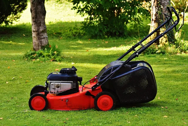 lawn mower, gardening, mow, cut grass, grassy area, garden, cut the lawn, technology, to cut, lawn, nature, green, basket, meadow. Canadian Lawn Mowing Schedule: Start and Stop Dates by Province