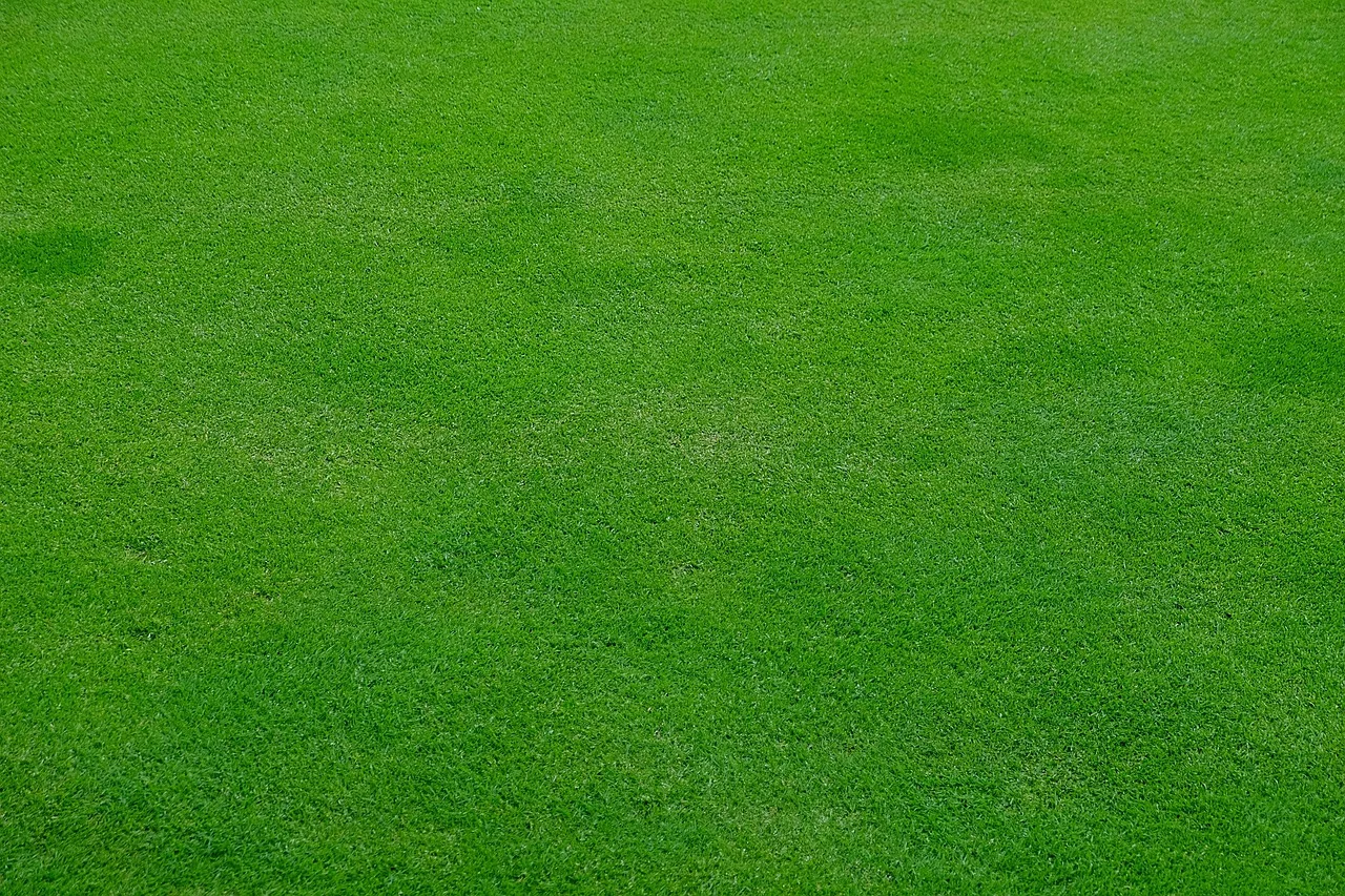 lawn, meadow, grass, green, spring, nature, stalks, cut the lawn, mow, lawn mower, english lawn, texture. Does drought change how you mow in California and Arizona?