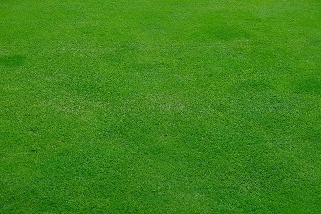 lawn, meadow, grass, green, spring, nature, stalks, cut the lawn, mow, lawn mower, english lawn, texture. Does drought change how you mow in California and Arizona?
