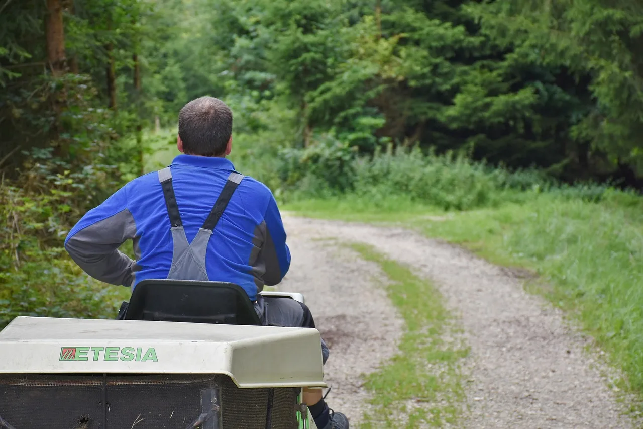 man, workers, lawn mower, cut the lawn, lawn, mow, person, human, masculine, ride-on mower, forest, forest work, work, gasoline engine, forest green, trees, nature, path, cleansing, hallway, lawn mower, lawn mower, lawn mower, lawn mower, lawn mower, ride-on mower, forest work, cleansing. What should a mowing company check before bidding on an HOA contract in the US?