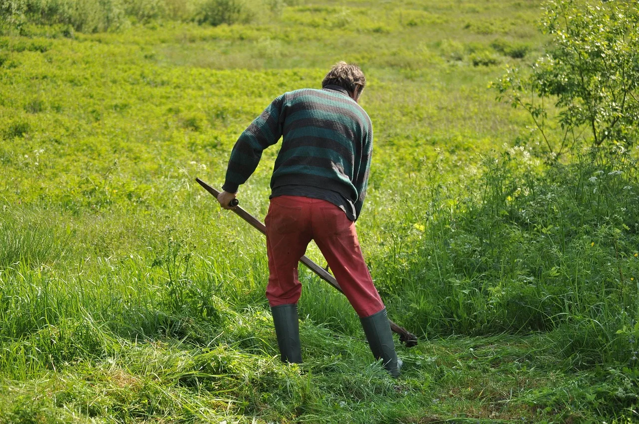 mowing, grass, field, green, mower, lawn, lawnmower, gardening, job, summer, man, outdoor, male, equipment, oldschool, adult, sport, nature, green sports, green job, mowing, mowing, mowing, mowing, mowing, lawnmower, lawnmower, lawnmower, job. How to re-price lawn care services without losing the route