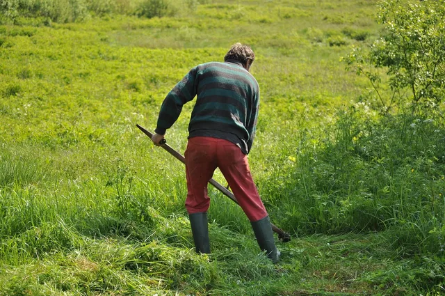 mowing, grass, field, green, mower, lawn, lawnmower, gardening, job, summer, man, outdoor, male, equipment, oldschool, adult, sport, nature, green sports, green job, mowing, mowing, mowing, mowing, mowing, lawnmower, lawnmower, lawnmower, job. How to re-price lawn care services without losing the route