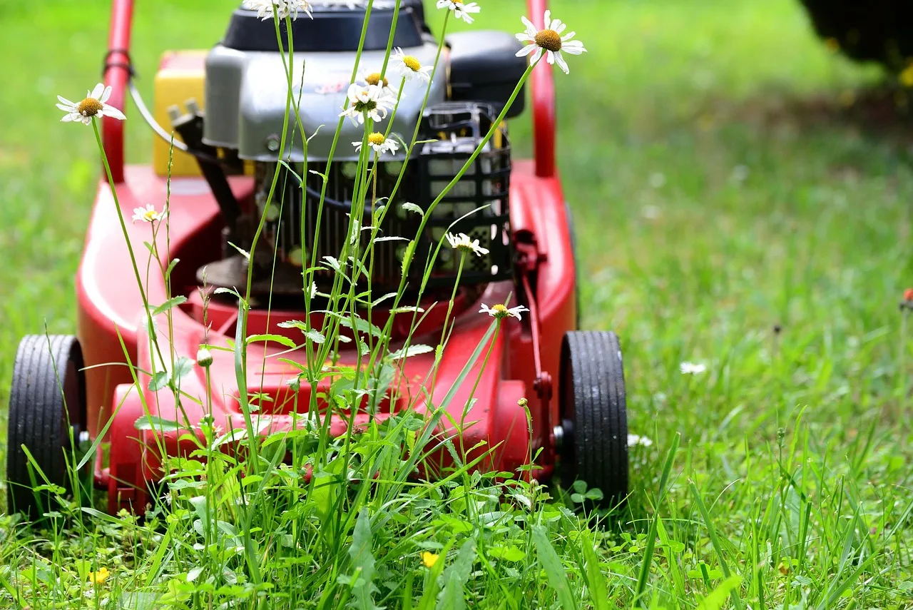 lawn mower, mow, gardening, lawn, green, garden, meadow, grass, to cut, technology, nature, garden maintenance, blades of grass, lawn mower, lawn mower, lawn mower, lawn mower, lawn mower. How IRS Schedule C works for a US lawn care sole proprietor