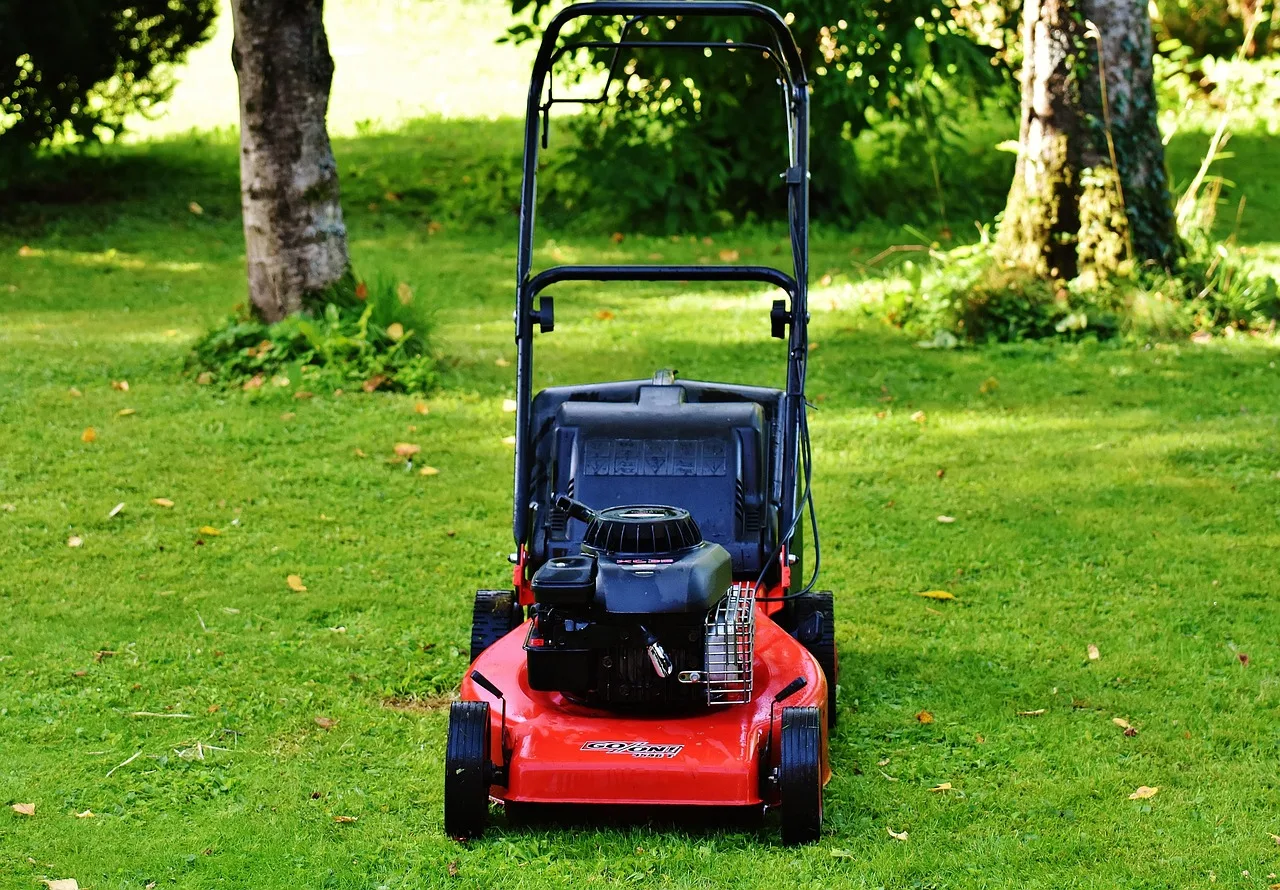 lawn mower, gardening, nature, mow, cut grass, grassy area, garden, cut the lawn, technology, to cut, lawn, green, basket, meadow. Money in, money out: lawn care bookkeeping made plain