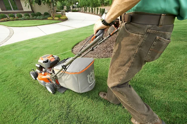 garden, garden shop, grass, home garden, lawn, lawn mower, lawnmower, nature, green home, green shopping, green grass, green garden, green shop. Lawn care business plan: the parts people skip