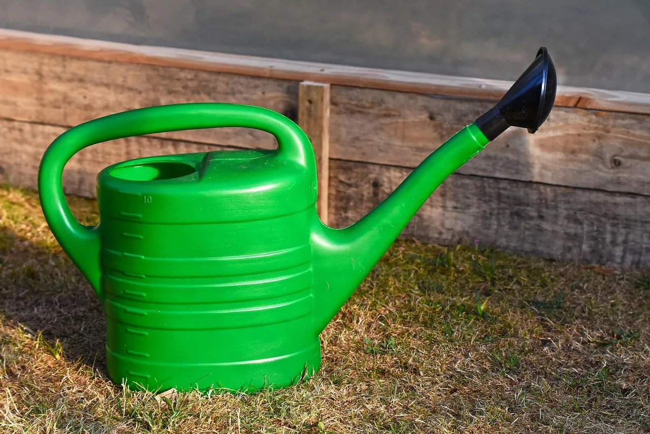 watering can, garden, gardening, water, watering, flower wallpaper, flowers, flower background, plants, irrigation, sprinkling, care, plastic, beautiful flowers, tool, utensil, nature, container. 9 details of lawn care hiring and training people miss