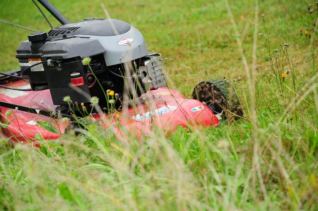 lawn mower, grass mulch, lawn, meadow, grass, nature, sports ground, lawn mower, lawn mower, lawn mower, lawn mower, lawn mower. Lawn care insurance breaks down into four covers, not one price
