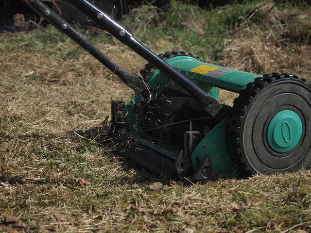 lawn mower, mow, cut the lawn, garden, green, meadow, gardening, technology, to cut, cut grass, nature, manual operation, mowed, leisure time, blades of grass, stalks, lawn mower, lawn mower, lawn mower, lawn mower, lawn mower. Lawn care licensing requirements: who answers what