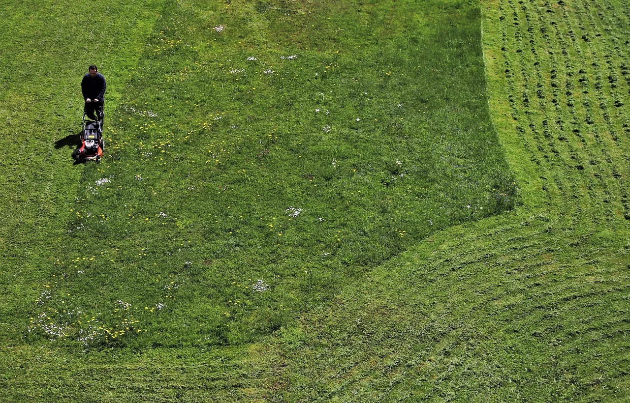 lawnmower, grass, lawn, mower, gardener, gardening, care, plants, green, spring, garden, meadow, field, mown grass, lawnmower, lawnmower, lawnmower, lawnmower, lawnmower. Lawn care pricing: a cost-based guide to profit