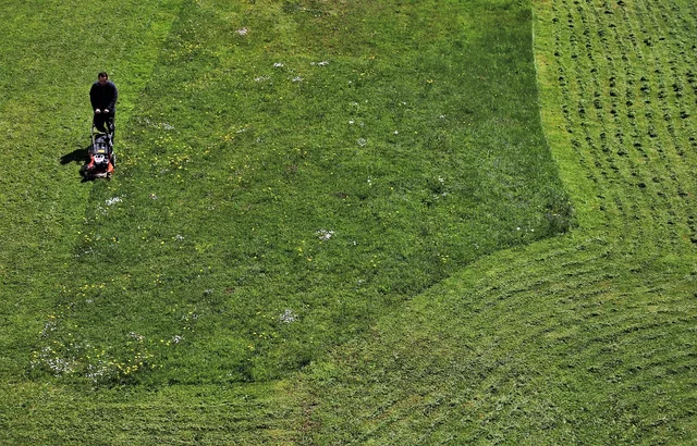lawnmower, grass, lawn, mower, gardener, gardening, care, plants, green, spring, garden, meadow, field, mown grass, lawnmower, lawnmower, lawnmower, lawnmower, lawnmower. Lawn care pricing: a cost-based guide to profit