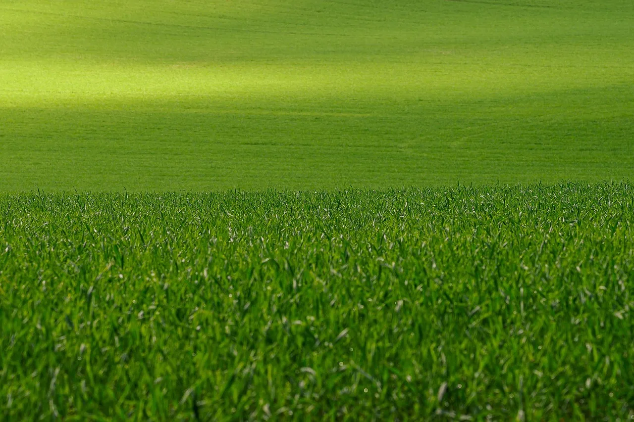 meadow, full hd wallpaper, desktop backgrounds, wallpaper hd, free background, grass, wallpaper 4k, lawn, 4k wallpaper 1920x1080, windows wallpaper, biotope, mac wallpaper, landscape, field, beautiful wallpaper, nature, 4k wallpaper, free wallpaper, hd wallpaper, laptop wallpaper, flora, cool backgrounds, spring, background. From enquiry to quote in a lawn care business: template and pricing