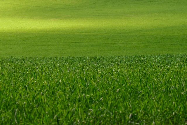 meadow, full hd wallpaper, desktop backgrounds, wallpaper hd, free background, grass, wallpaper 4k, lawn, 4k wallpaper 1920x1080, windows wallpaper, biotope, mac wallpaper, landscape, field, beautiful wallpaper, nature, 4k wallpaper, free wallpaper, hd wallpaper, laptop wallpaper, flora, cool backgrounds, spring, background. From enquiry to quote in a lawn care business: template and pricing