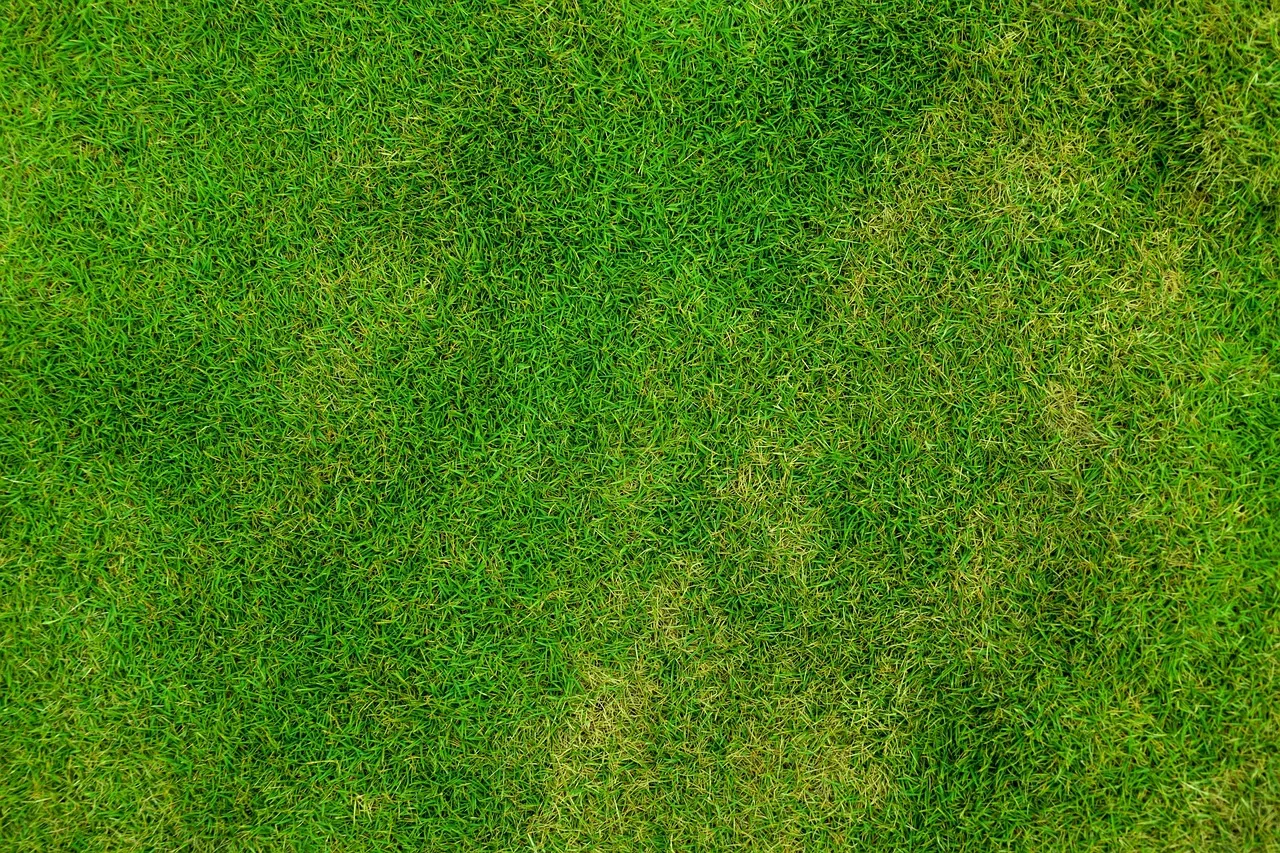 grass, wallpaper hd, lawn, nature background, nature wallpaper, free wallpaper, full hd wallpaper, field, meadow, 4k wallpaper 1920x1080, free background, 4k wallpaper, desktop backgrounds, grassy, mac wallpaper, beautiful wallpaper, hd wallpaper, background, wallpaper 4k, green, windows wallpaper, outdoors, nature, beautiful nature, cool backgrounds, wallpaper, laptop wallpaper, green background, green grass, green field. How to bundle lawn care services for 2027