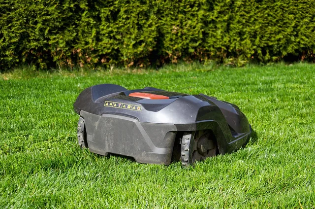 grass, lawn, summer, nature, garden, landscape, plant, equipment, lawn mower, robotic lawnmower, robot, garden maintenance, green, gardening. Lawn mowing price per square metre Canada: rate guide