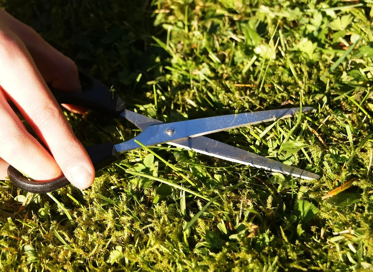 lawn, to cut, mow, grass, green, meticulous, english lawn, fun, scissors, handwork, grassy area, nature, funny, meticulously, right mow, lawn cutting, mowing schedule, the house and garden, home. Lawn Mowing Route Schedule Template for Crews