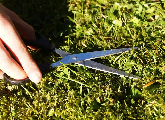 lawn, to cut, mow, grass, green, meticulous, english lawn, fun, scissors, handwork, grassy area, nature, funny, meticulously, right mow, lawn cutting, mowing schedule, the house and garden, home. Lawn Mowing Route Schedule Template for Crews