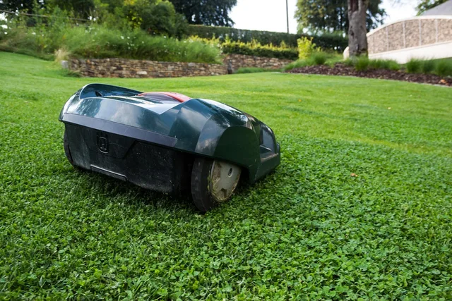 lawn mower, robot, grass, nature, robotic lawnmower, automatically, lawn, estate, landscape design, labor, mowing, electric, garden. Lawn Mowing Schedule by Grass Type: A State-by-State Guide