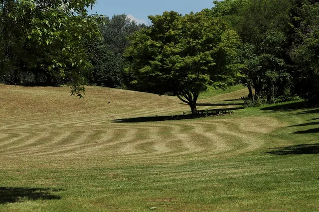 park, parklandschaft, meadow, mowed, landscape, nature, tree, quiet, outdoors, green. Texas Municipal Utility District Mowing Contracts: Bid Basics