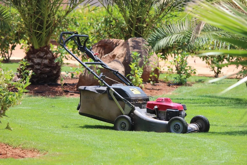 field, grass, lawn mower, mower, photo, plant, trees. Mowing schedules by USDA hardiness zone, from Phoenix heat to Denver cold
