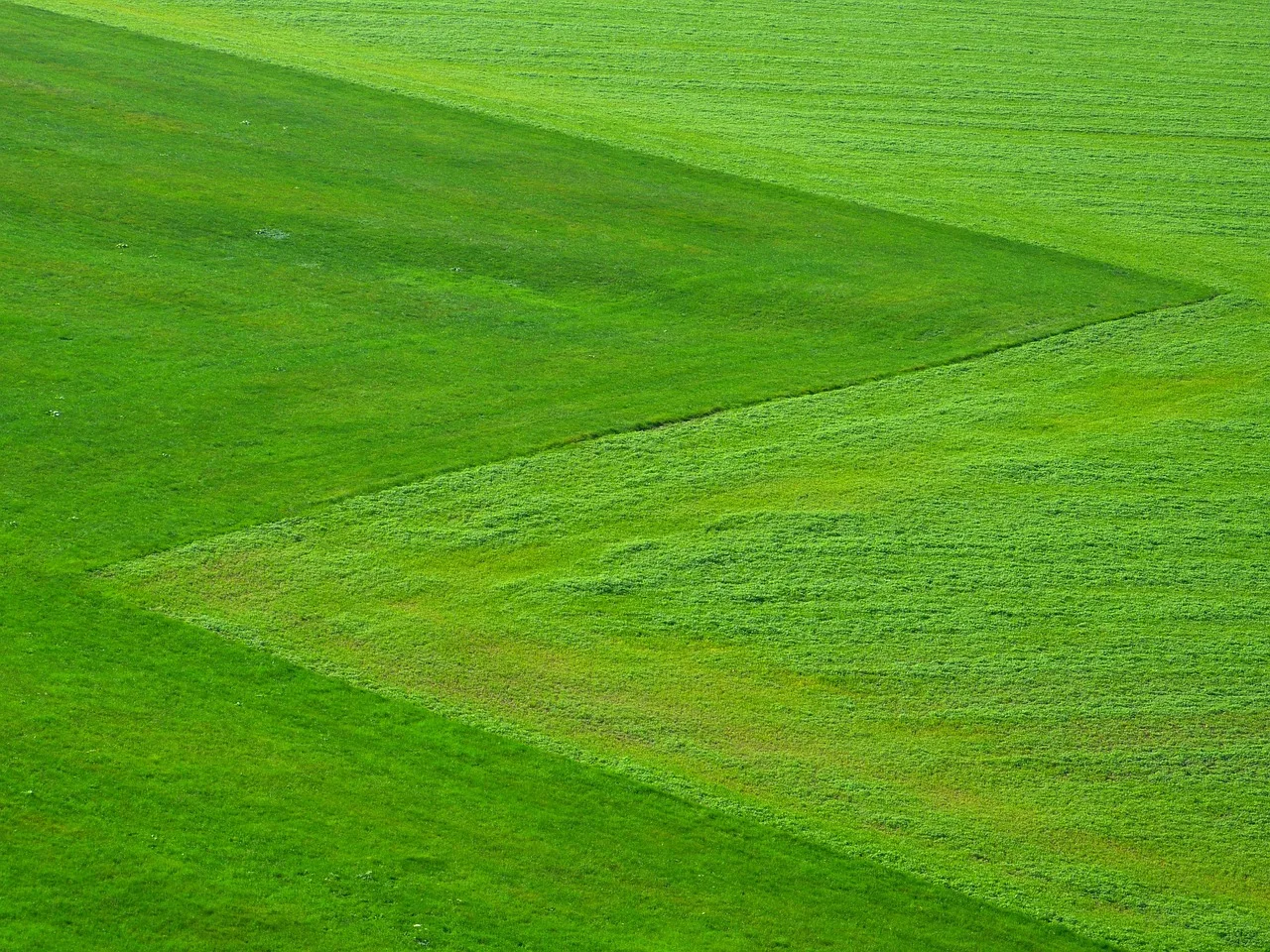 meadow, field, landscape, grassland, pasture, countryside, rural, nature, green, green, green, green, green, green. Provincial pesticide bans lawn care: certificates and mowing shifts