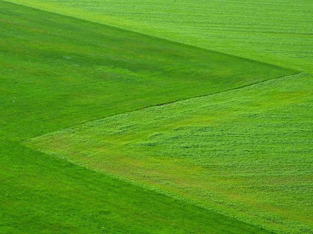 meadow, field, landscape, grassland, pasture, countryside, rural, nature, green, green, green, green, green, green. Provincial pesticide bans lawn care: certificates and mowing shifts