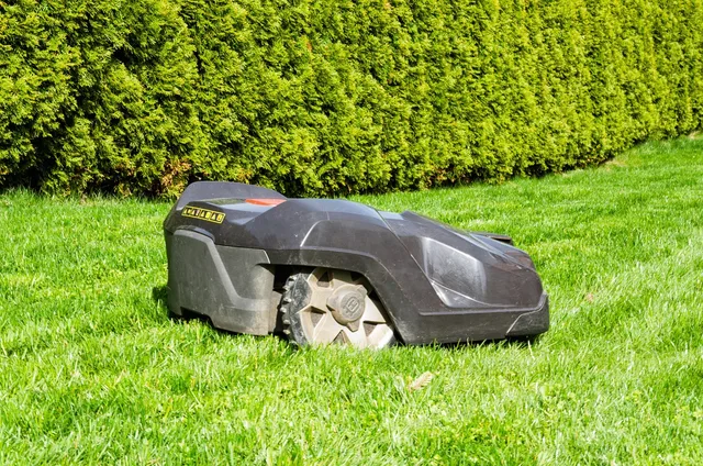 grass, lawn, summer, nature, garden, landscape, plant, equipment, lawn mower, robotic lawnmower, robot, garden maintenance, green, gardening, rural, environment, exterior, hedge. Sole proprietor or LLC for a US lawn care business, tax and liability compared