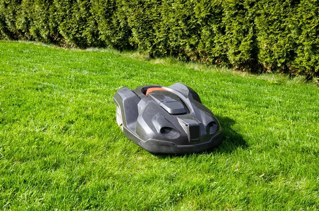 grass, lawn, summer, nature, garden, landscape, plant, equipment, lawn mower, robotic lawnmower, robot, garden maintenance, green, gardening, rural, environment, exterior, hedge, lawn, lawn, lawn mower, lawn mower, lawn mower, lawn mower, lawn mower, robotic lawnmower, robotic lawnmower, robotic lawnmower. When to Switch from Spring to Summer Mowing Schedule