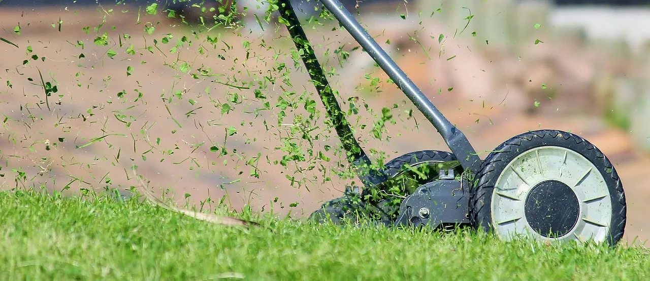 lawn mower, grass, cutting, cutting grass, lawn, hand lawn mower, lawn mowing, mow, meadow, manual operation, green, nature, blades of grass, grass blades, lawn mower, lawn mower, lawn mower, lawn, lawn, lawn, lawn, lawn, lawn mowing. The new-hire checklist for a lawn care business