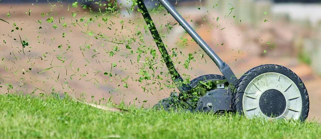 lawn mower, grass, cutting, cutting grass, lawn, hand lawn mower, lawn mowing, mow, meadow, manual operation, green, nature, blades of grass, grass blades, lawn mower, lawn mower, lawn mower, lawn, lawn, lawn, lawn, lawn, lawn mowing. The new-hire checklist for a lawn care business